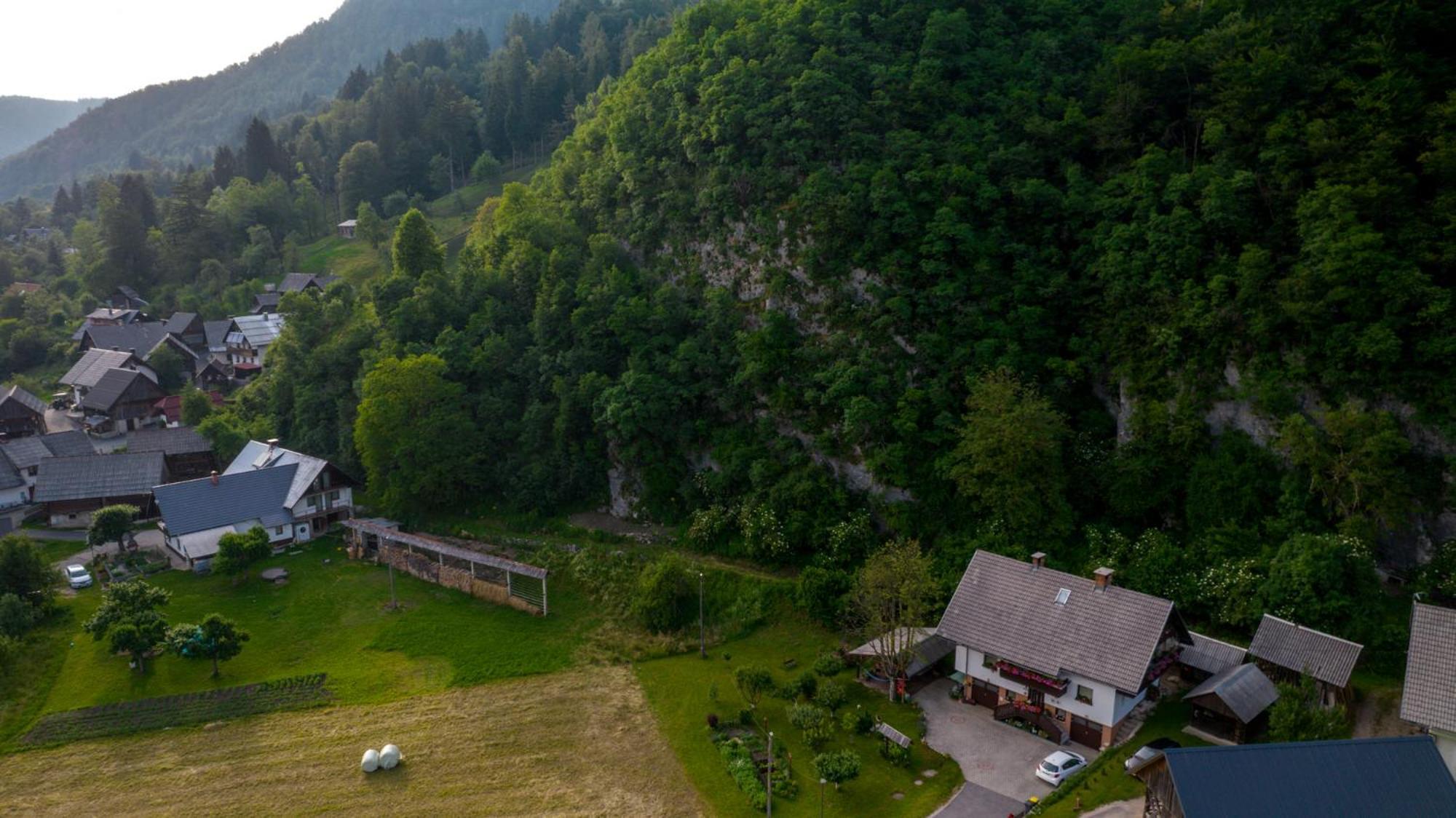 Sobe Licef Apartman Bohinji-tó Kültér fotó